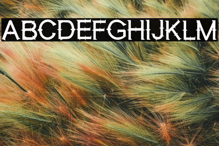 Labuhan Bajo Example 1