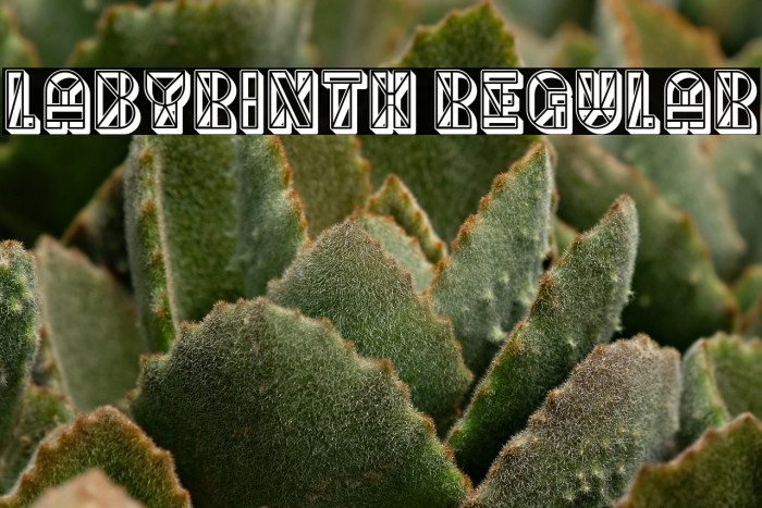 Labyrinth Regular Example 1