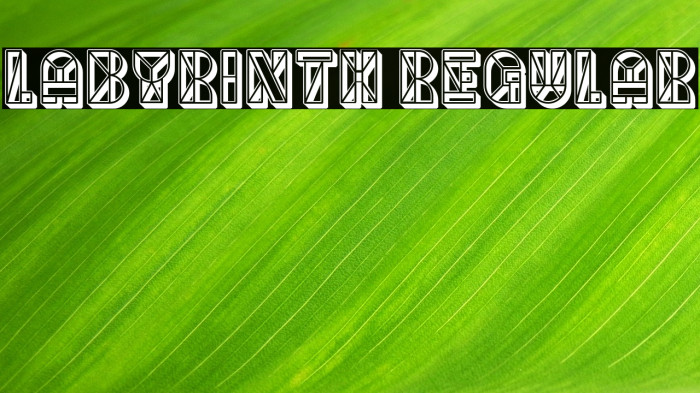 Labyrinth Regular Example 2