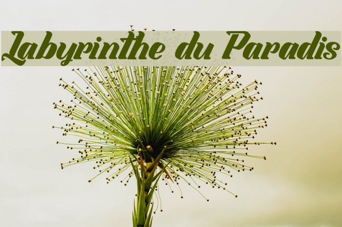 Labyrinthe du Paradis Font examples