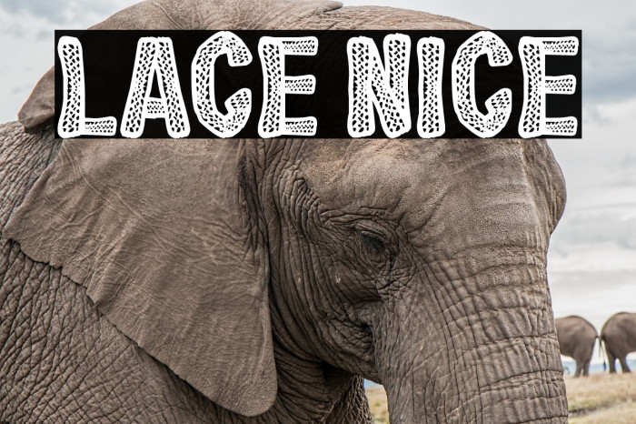 Lace Nice Font examples