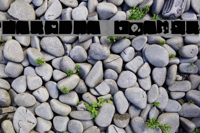 Lacerba Italic Example 2