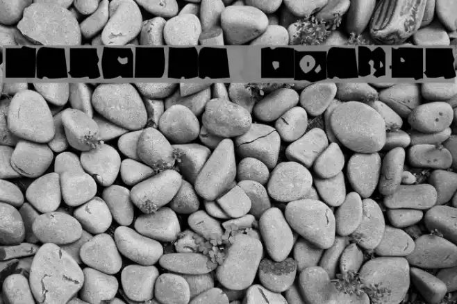 Lacerba Italic Font examples