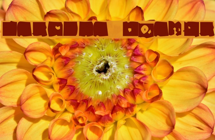 Lacerba Italic Example 3