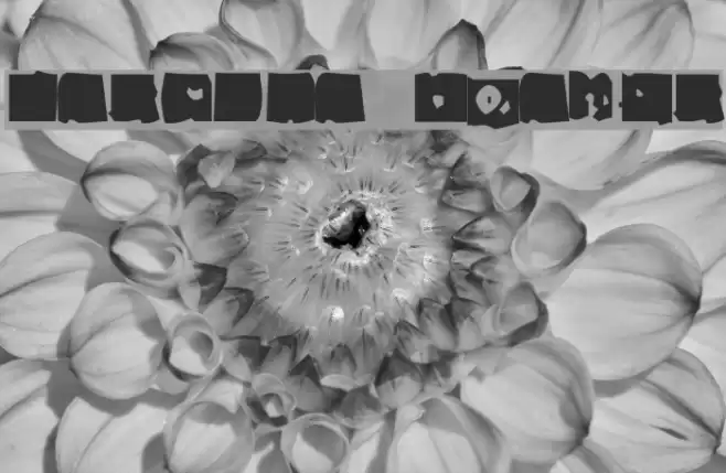 Lacerba Italic Font examples