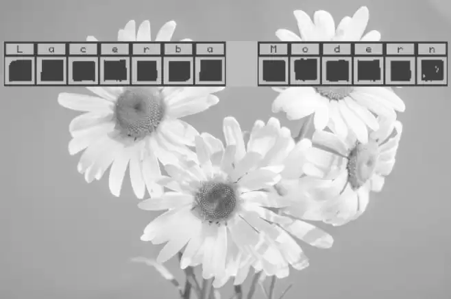 Lacerba Modern Font examples