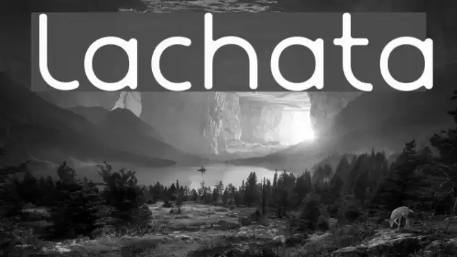 Lachata examples