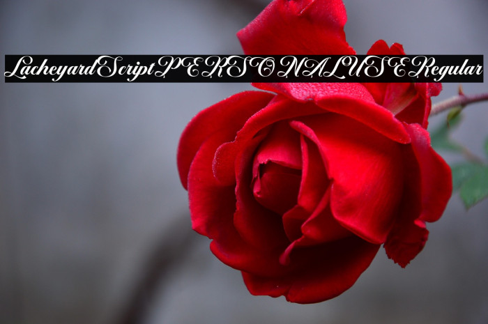 Lacheyard Script PERSONAL USE Regular Example 1