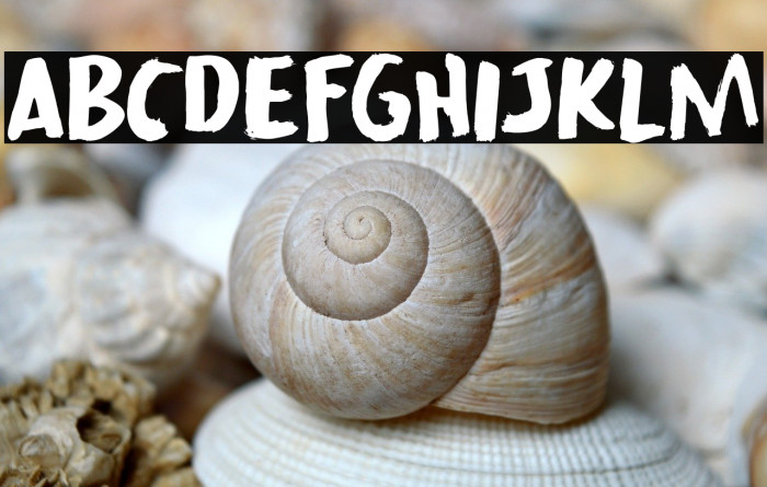 Lachrymose DEMO Regular Example 1