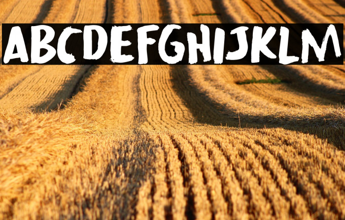 Lachrymose DEMO Regular Example 2