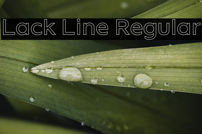 Lack Line Regular Example 3