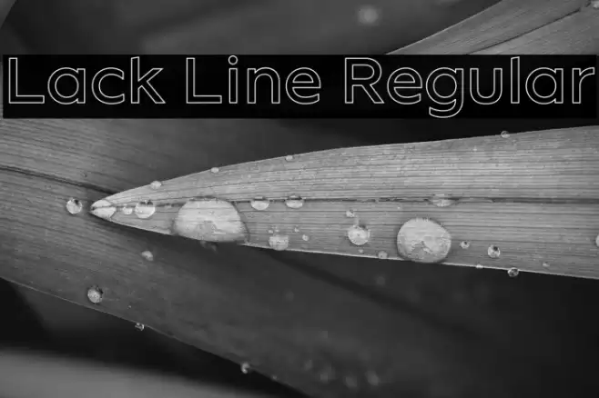 Lack Line Regular Font | Free Download (TTF/OTF) | FFonts.ne