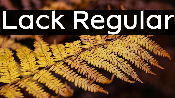 Lack Regular Example 2