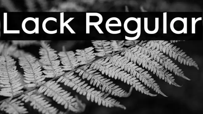 Lack Regular Example 2
