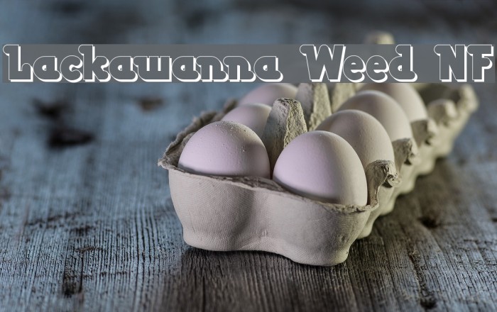 Lackawanna Weed NF Font examples