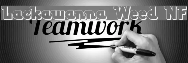 Lackawanna Weed NF Font examples