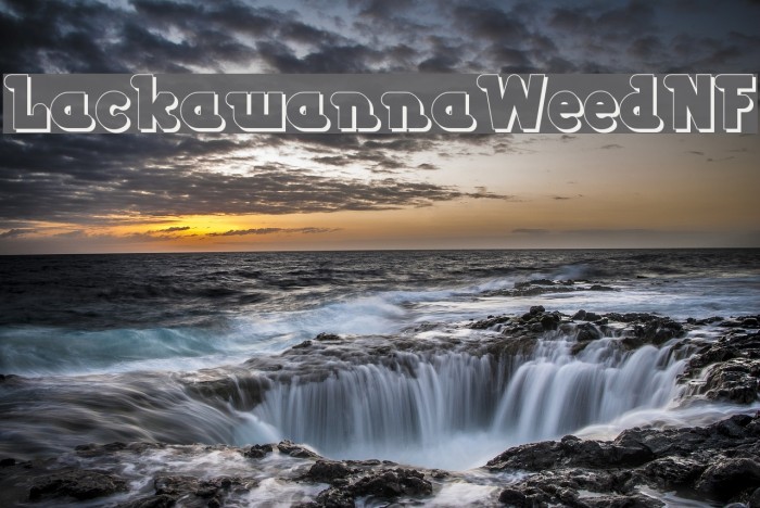 LackawannaWeedNF Example 1