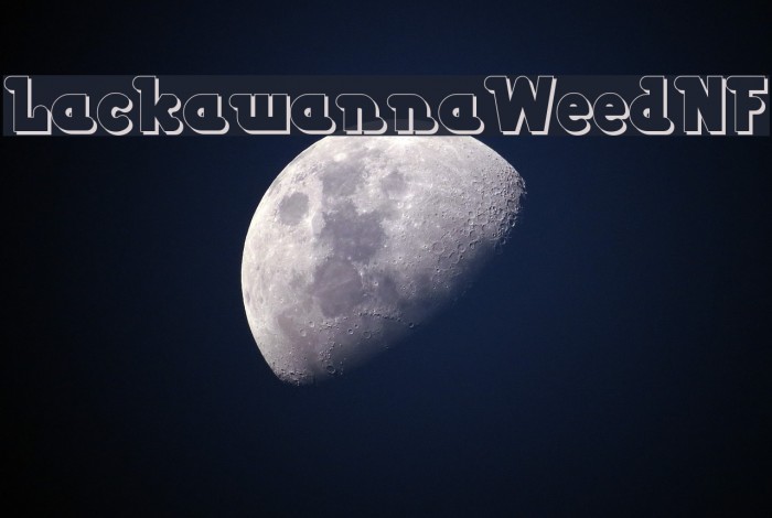 LackawannaWeedNF Example 3