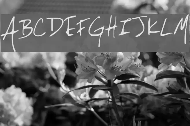 Lackey Font examples