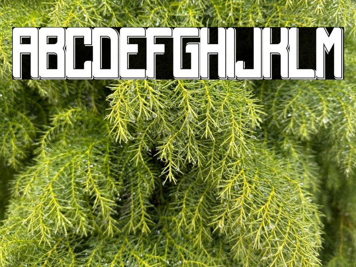 Lacona Demo Example 2