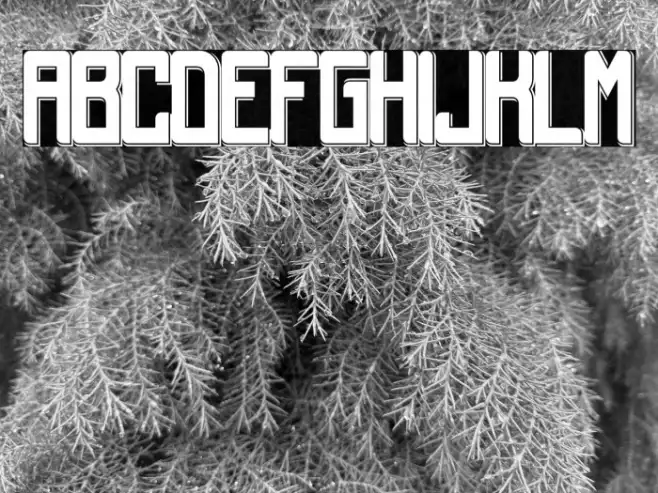 Lacona Demo Example 2