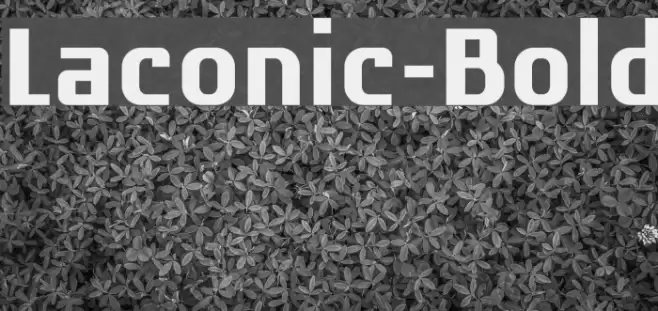 Laconic-Bold Font examples