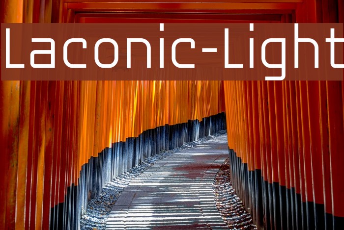Laconic-Light Font examples
