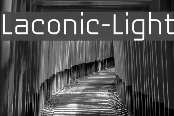 Laconic-Light Example 1