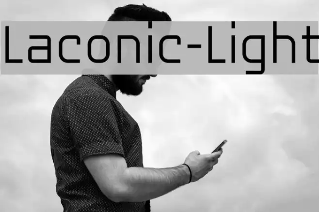 Laconic-Light Example 3