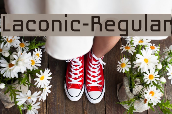 Laconic-Regular Font examples