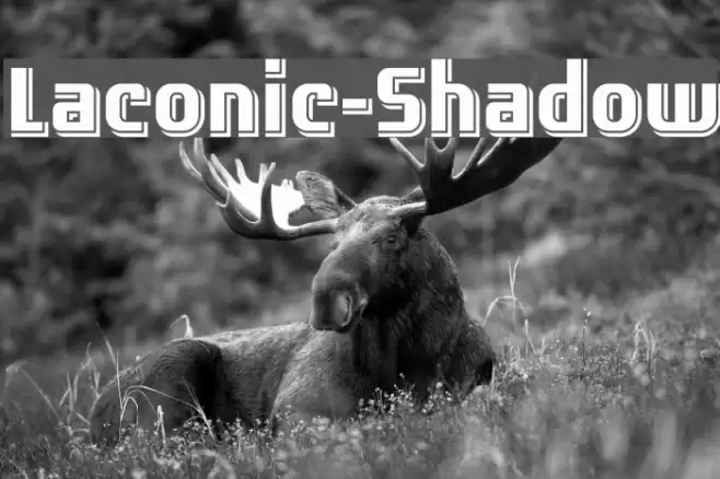 Laconic-Shadow Font examples