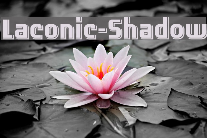 Laconic-Shadow Example 3