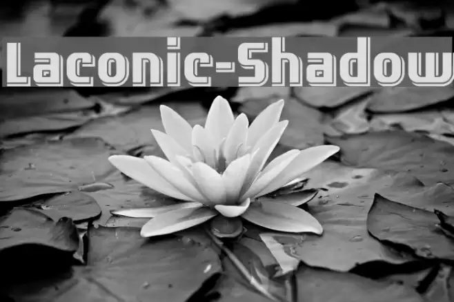 Laconic-Shadow Font examples