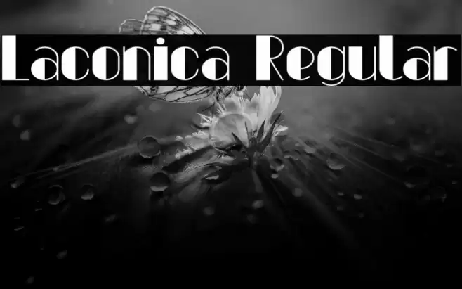 Laconica Regular Font examples