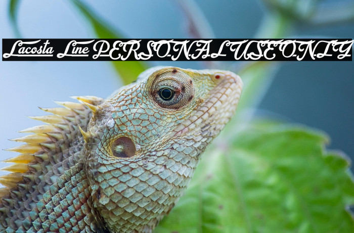 Lacosta Line PERSONAL USE ONLY Example 2