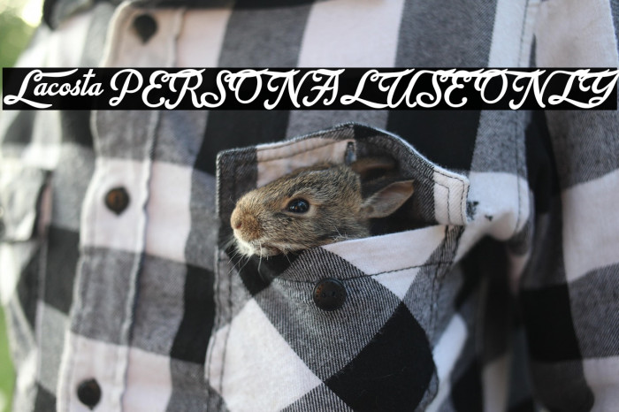 Lacosta PERSONAL USE ONLY Example 1