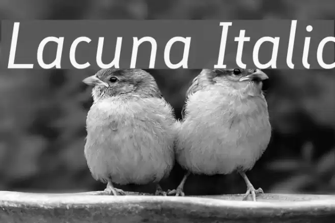 Lacuna Italic Font examples