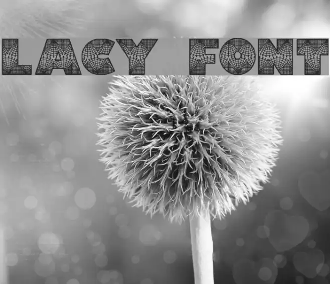 Lacy Example 3