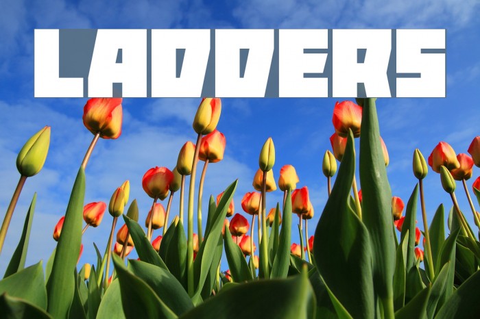 Ladders Font examples