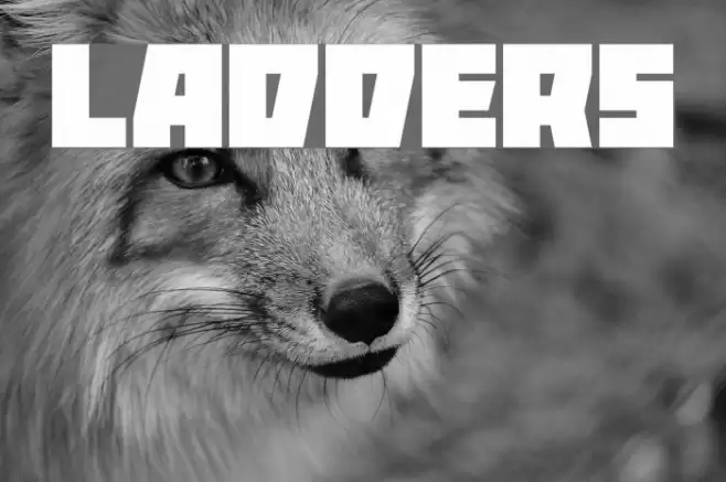 Ladders Font examples