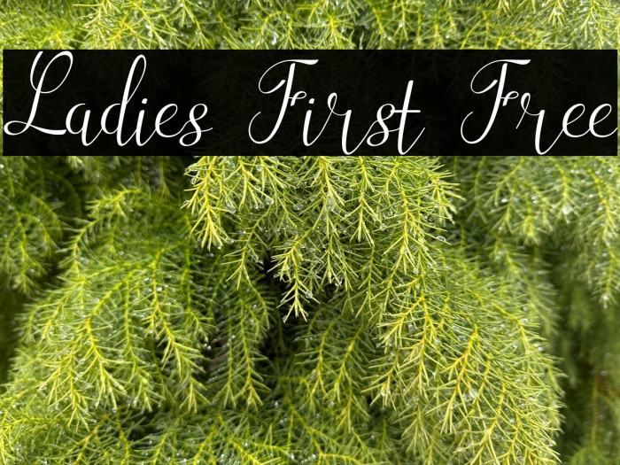 Ladies First Free Example 3