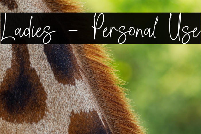 Ladies - Personal Use Example 3
