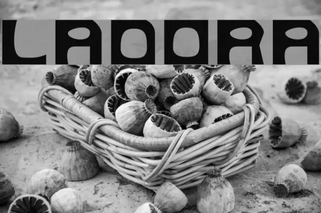 Ladora Font examples