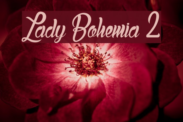 Lady Bohemia 2 Example 2