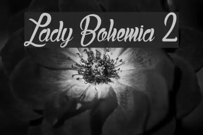 Lady Bohemia 2 Font examples