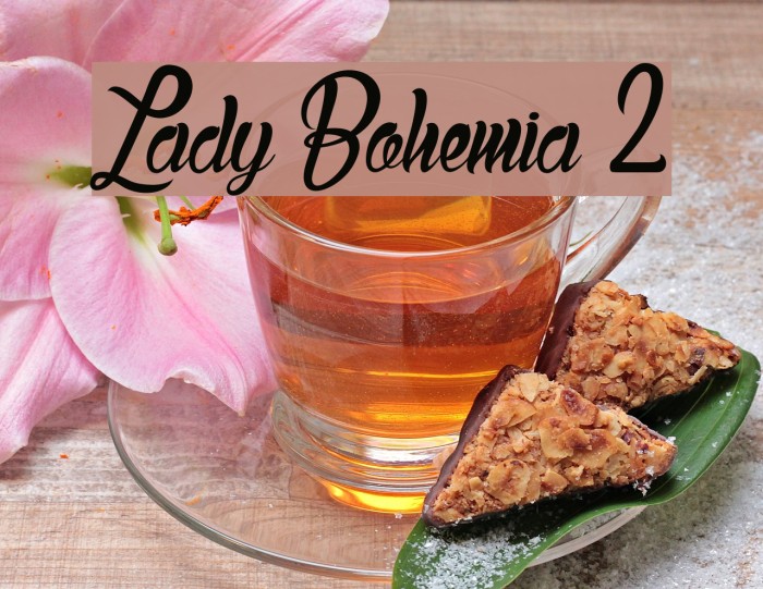 Lady Bohemia 2 Example 3