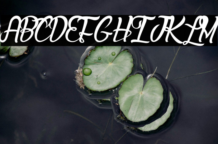 Lady Bohemia_PersonalUseOnly Example 3