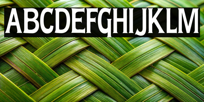 Lady Copra Narrow Example 3