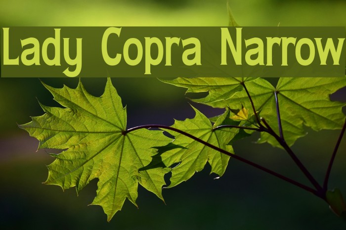 Lady Copra Narrow Font examples