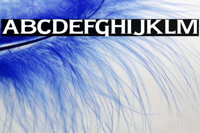 Lady Copra Wide Example 3